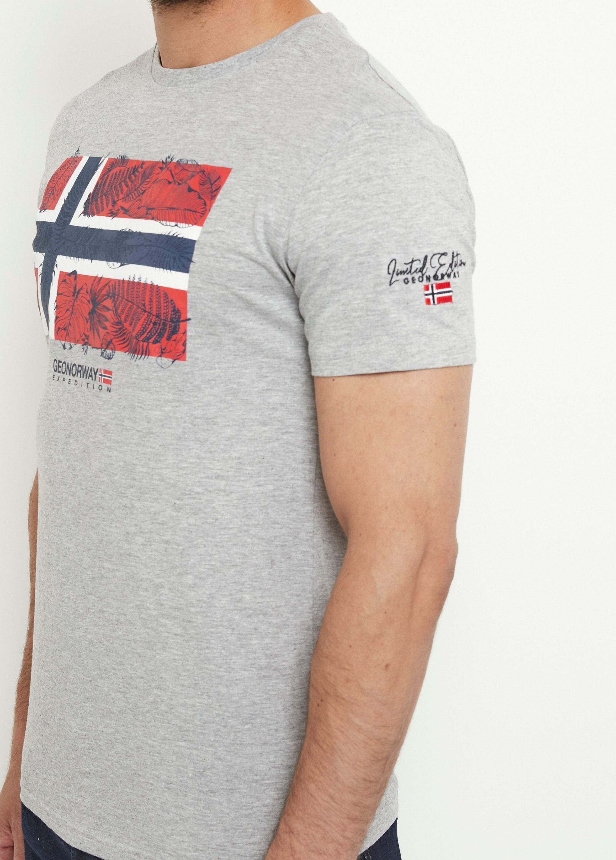 Exotic_flag_crew_neck_t-shirt_Gray_DE1_slim