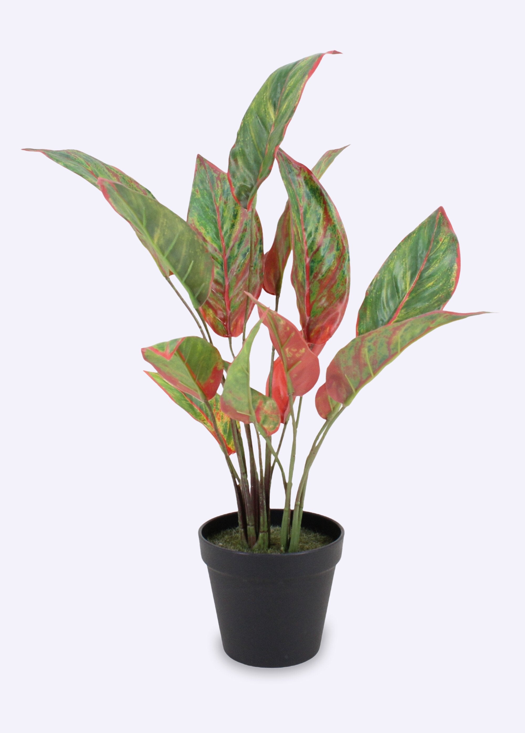 Artificial_Aglaonema_plant_+_pot_Black_FA1_slim