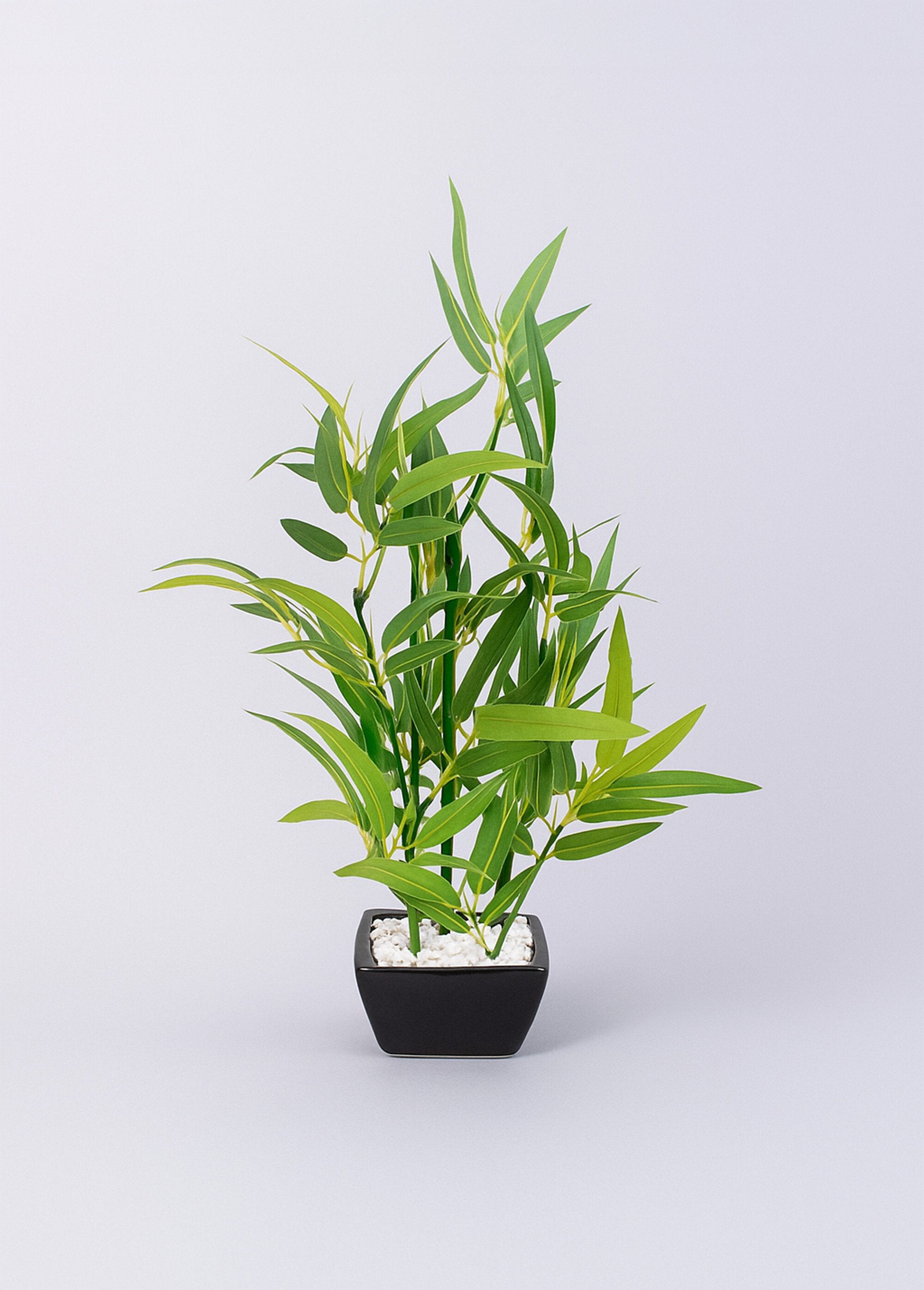 Artificial_bamboo_plant_in_a_ceramic_pot_Black_FA1_slim